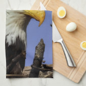 Reife männliche Adler Naher Kopf Shot Geschirrtuch (Viertel Falte)