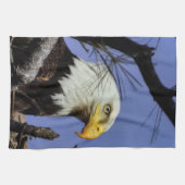 Reife männliche Adler Naher Kopf Shot Geschirrtuch (Horizontal)