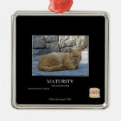 Reife Ornament Aus Metall (Vorne)