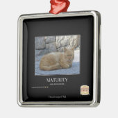 Reife Ornament Aus Metall (Links)