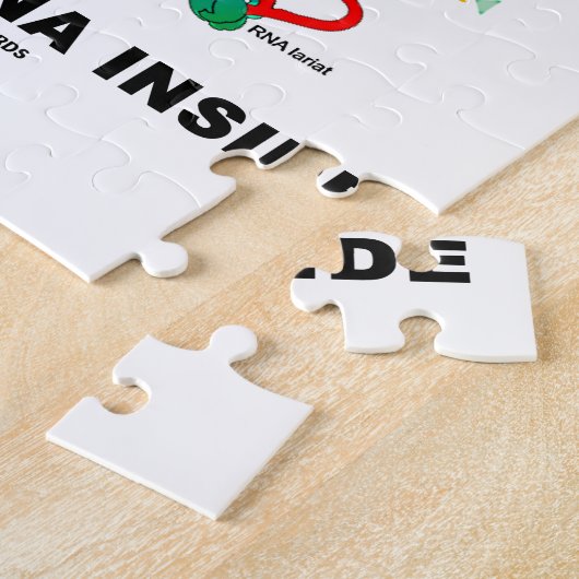 Reife RNS innerhalb des Biologie-Spaßes Puzzle (Seite)