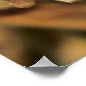 Reife Sojabohnen Poster (Ecke)