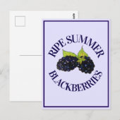 Reife Sommer BlackBerry BlackBerry Berry Berries Postkarte (Vorne/Hinten)