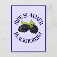 Reife Sommer BlackBerry BlackBerry Berry Berries