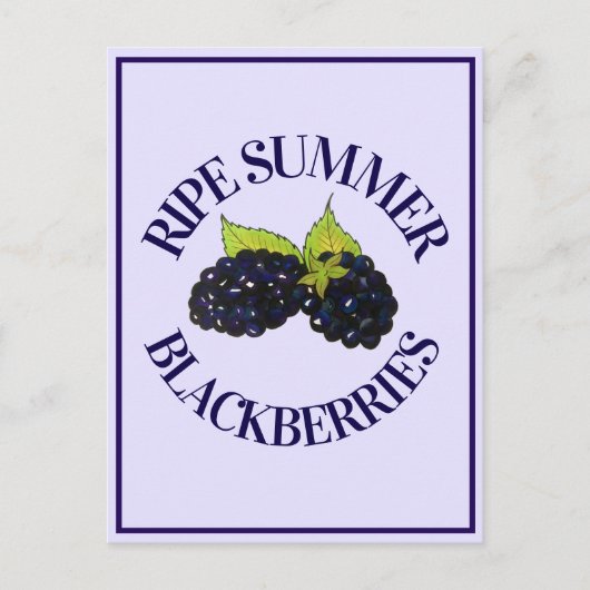 Reife Sommer BlackBerry BlackBerry Berry Berries Postkarte (Vorderseite)