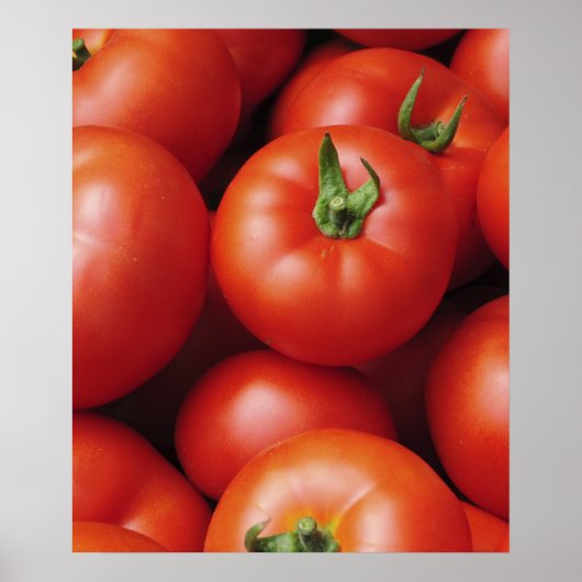 Reife Tomaten - Hellrot, Frisch Poster (Vorne)