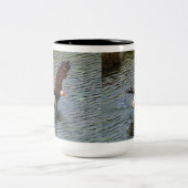 Reife Wälder und Wälder Eagle Zweifarbige Tasse (Mittel)