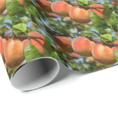 Reife Weingartenpfirsiche Geschenkpapier (Rolleneckpunkt)