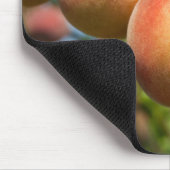 Reife Weingartenpfirsiche Mousepad (Ecke)