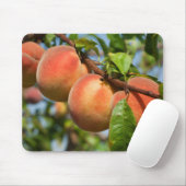 Reife Weingartenpfirsiche Mousepad (Mit Mouse)