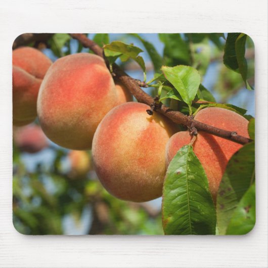 Reife Weingartenpfirsiche Mousepad (Vorne)