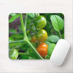 Reifegrade von Kirschtomaten Mousepad