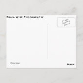 Reifen Postkarte (Rückseite)