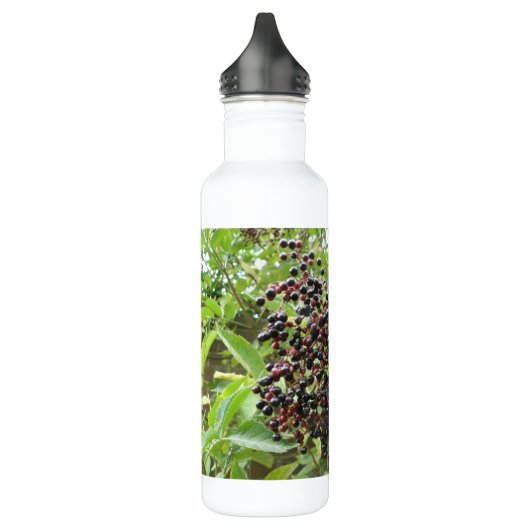 Reifende Älderbeeren Edelstahlflasche (Links)