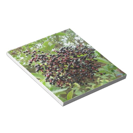 Reifende Älderbeeren Notepad Notizblock (angewinkelt)