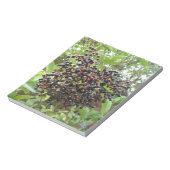 Reifende Älderbeeren Notepad Notizblock (Rotiert)