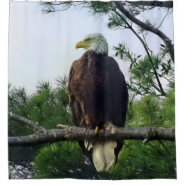 Reifender Adler aus Bald in Evergreen Tree Duschvorhang