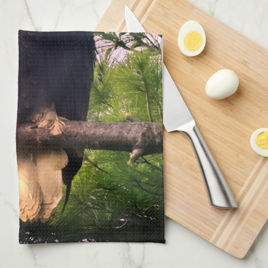 Reifender Adler aus Bald in Evergreen Tree Geschirrtuch (Viertel Falte)