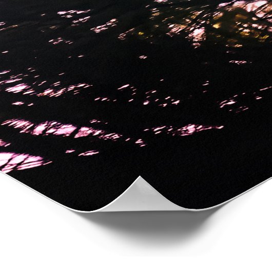 Reifender Adler aus Bald in Evergreen Tree Poster (Ecke)