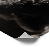 Reifender Adler in Nest Poster (Ecke)