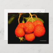 Reifender Unedo Arbutus Erdbeerbaum Obst Postkarte (Vorne/Hinten)