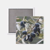 Reifenolien auf der Zweigstelle Olivenbaum Magnet (Vorderseite/Rückseite)