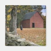 Reifenschwung entlang einer Straße in Südvermont, Magnet (Vorne)