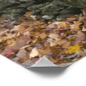 Reifenschwung entlang einer Straße in Südvermont, Poster (Ecke)