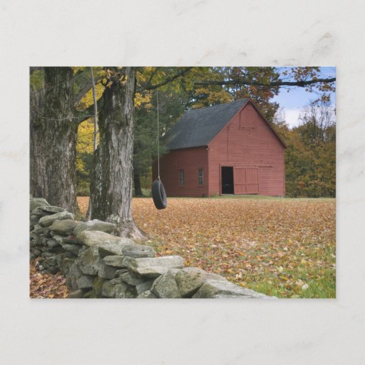 Reifenschwung entlang einer Straße in Südvermont, Postkarte (Vorderseite)