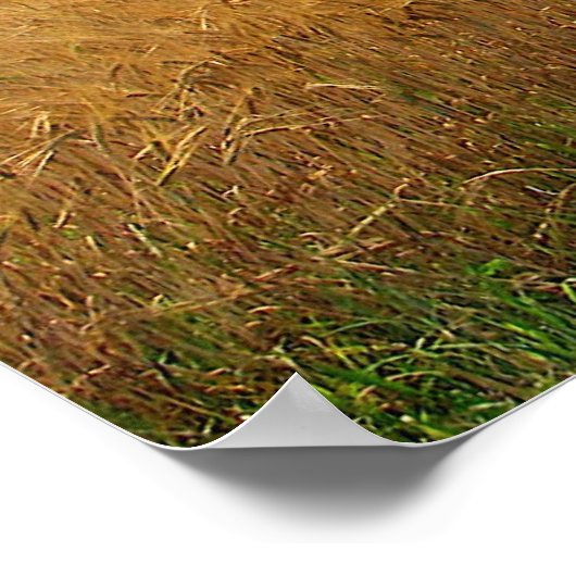 Reifenweizen Poster (Ecke)