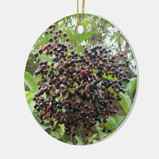 Reifung der Älderberries Ornament (Links)