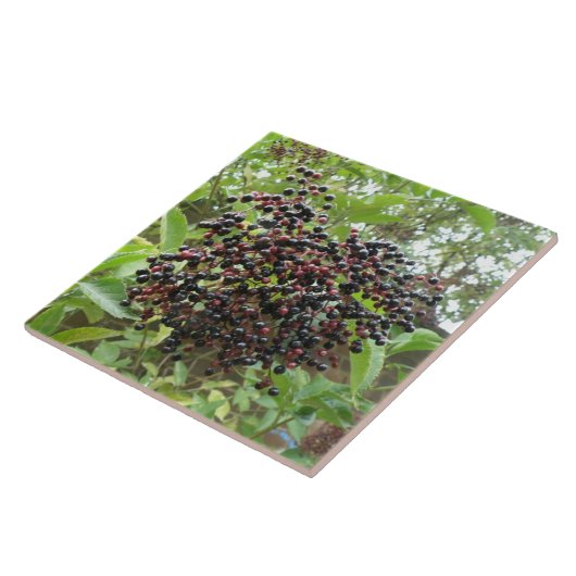 Reifung der Älderberries Tile Fliese (Seite)