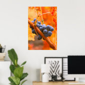 Reifung im Weinberg Poster (Heimbüro)