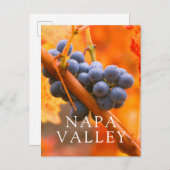 Reifung im Weinberg Postkarte (Vorne/Hinten)