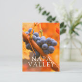 Reifung im Weinberg Postkarte (Stehend Vorderseite)