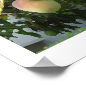 Reifung Poster (Ecke)