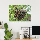 Reifung von Ädelbeeren Print Poster (Heimbüro)