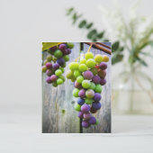 Reifung von Trauben Postkarte (Stehend Vorderseite)