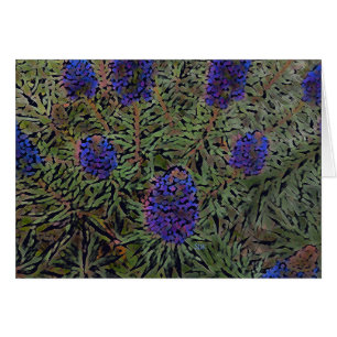 Reihe der Lavendel