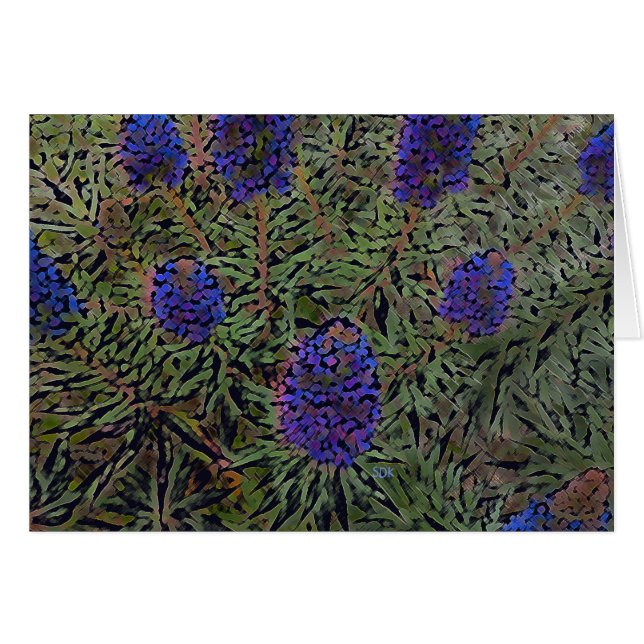 Reihe der Lavendel (Vorderseite (Horizontal))