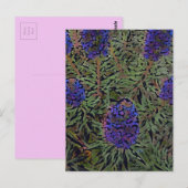 Reihe der Lavendel Postkarte (Vorne/Hinten)