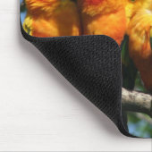 Reihe der niedlichen kleinen Papageien, die Mousepad (Ecke)