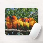 Reihe der niedlichen kleinen Papageien, die Mousepad (Mit Mouse)