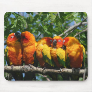 Reihe der niedlichen kleinen Papageien, die Mousepad