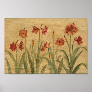 Reihe der roten Amaryllis Poster