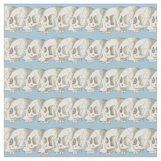 Reihe der Schädel Stoff (Nahaufnahme)