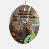 Reihe gefährdete Arten Sumatran Orangutan Keramik Ornament (Rechts)