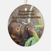 Reihe gefährdete Arten Sumatran Orangutan Keramik Ornament (Links)