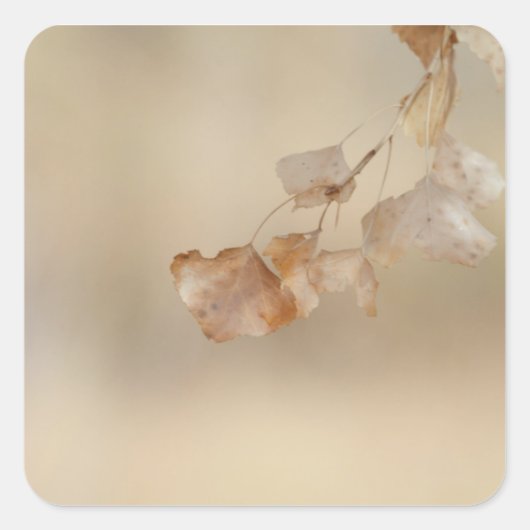 Reihe goldener Blätter Quadratischer Aufkleber (Vorderseite)