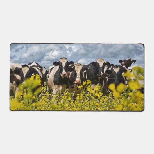 Reihe Holstein Kühe Schreibtischunterlage (Vorderseite)